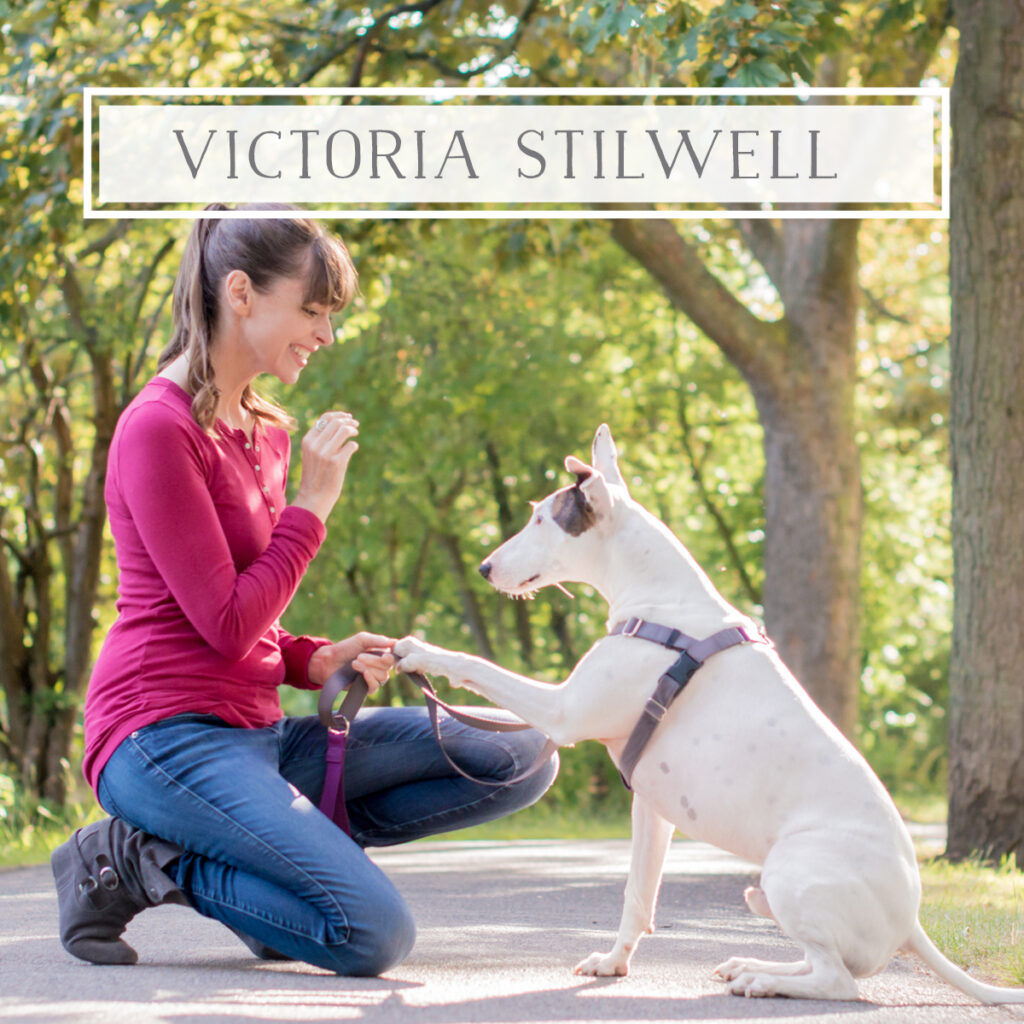 working with dog podcast featuring Victoria Stilwell