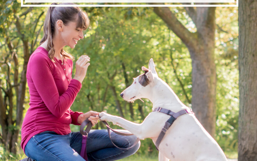 Episode 1: Dog Expert Victoria Stilwell