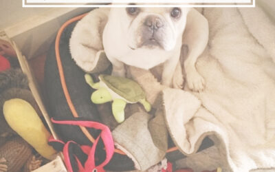 How Stocked is your Marketing Toy Box?