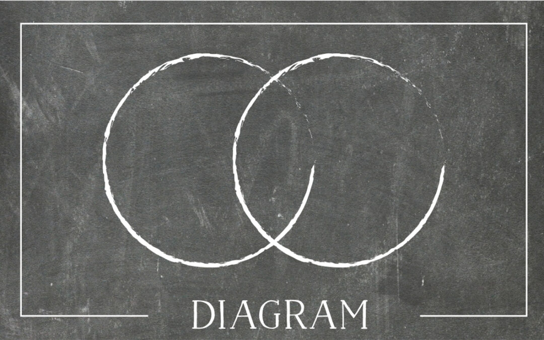 DIAGRAM: Identify your Bliss Point Opportunities