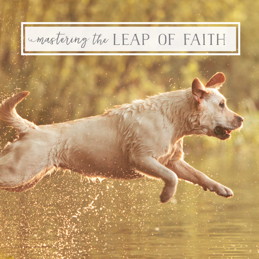 yellow lab jumping into river