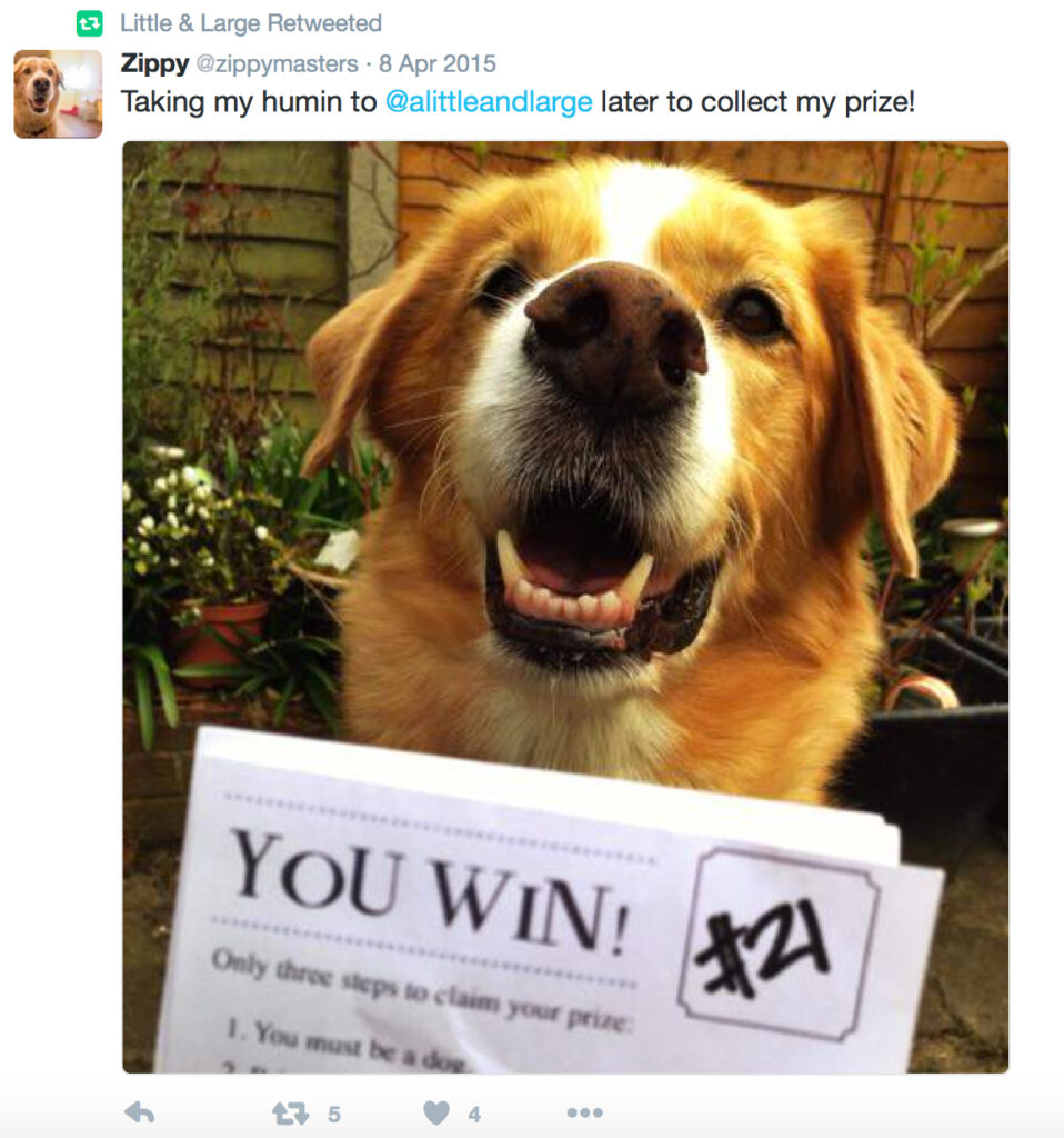 winning dog from easter egg hunt