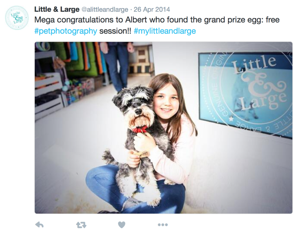 Mini-Schnauzer and young girl in dog boutique