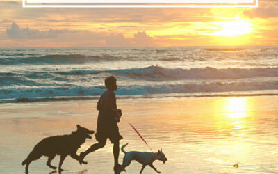10 Reasons #workingwithdog is Savvy Career Choice