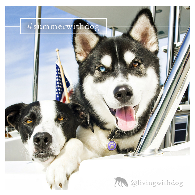 summerwithdog_56