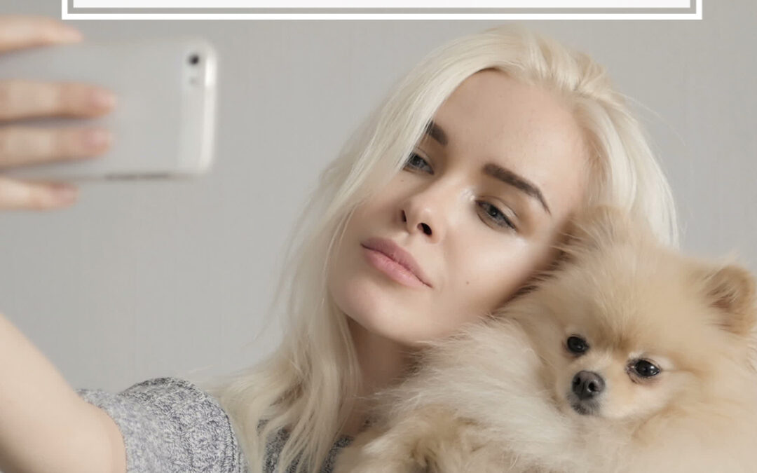 Pet Influencers: Part 3
