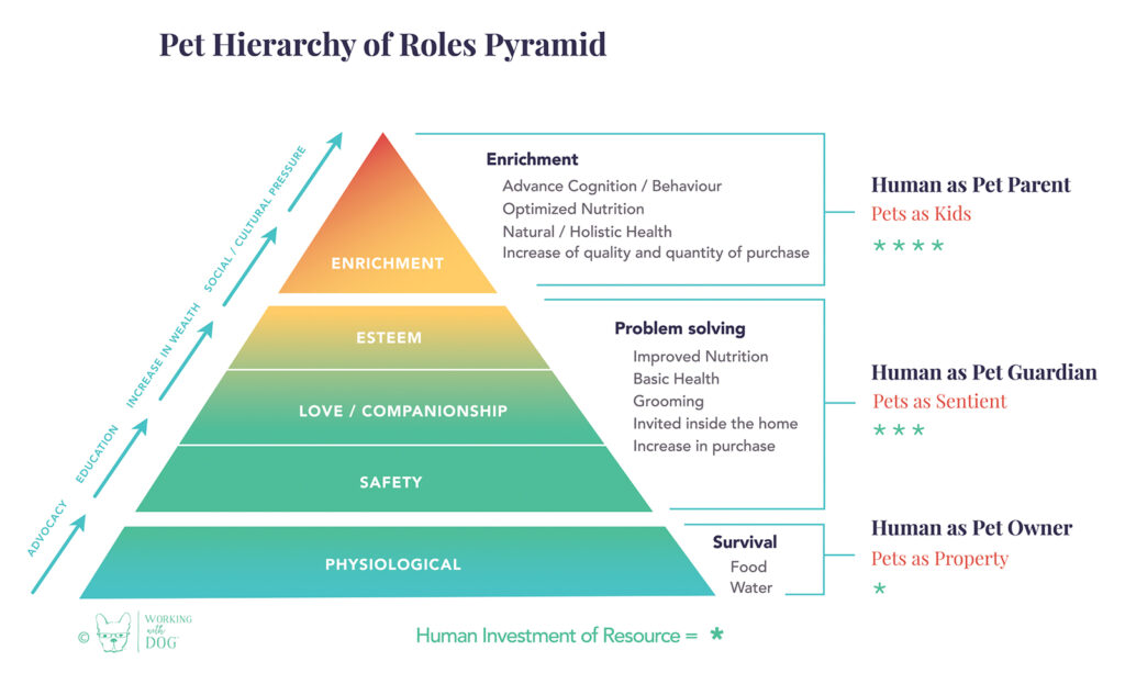Pet Hierarchy of Roles Pyramid