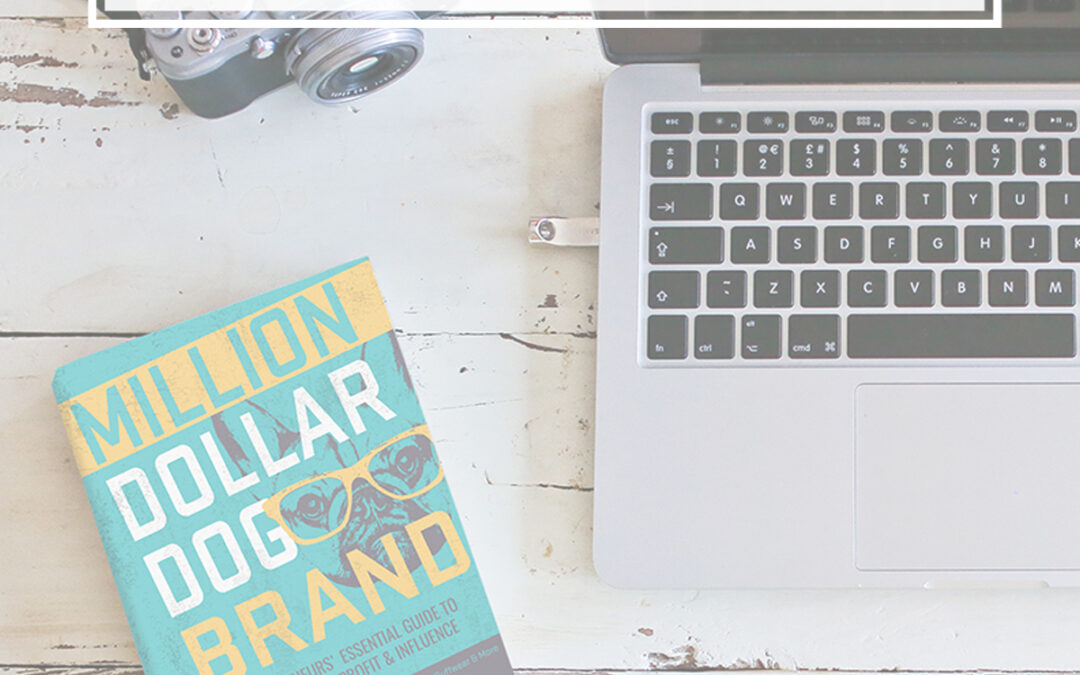 Million Dollar Dog Brand Website Audit