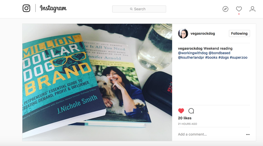 influencer_instagram