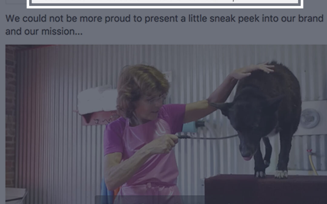 Captions on Facebook Videos