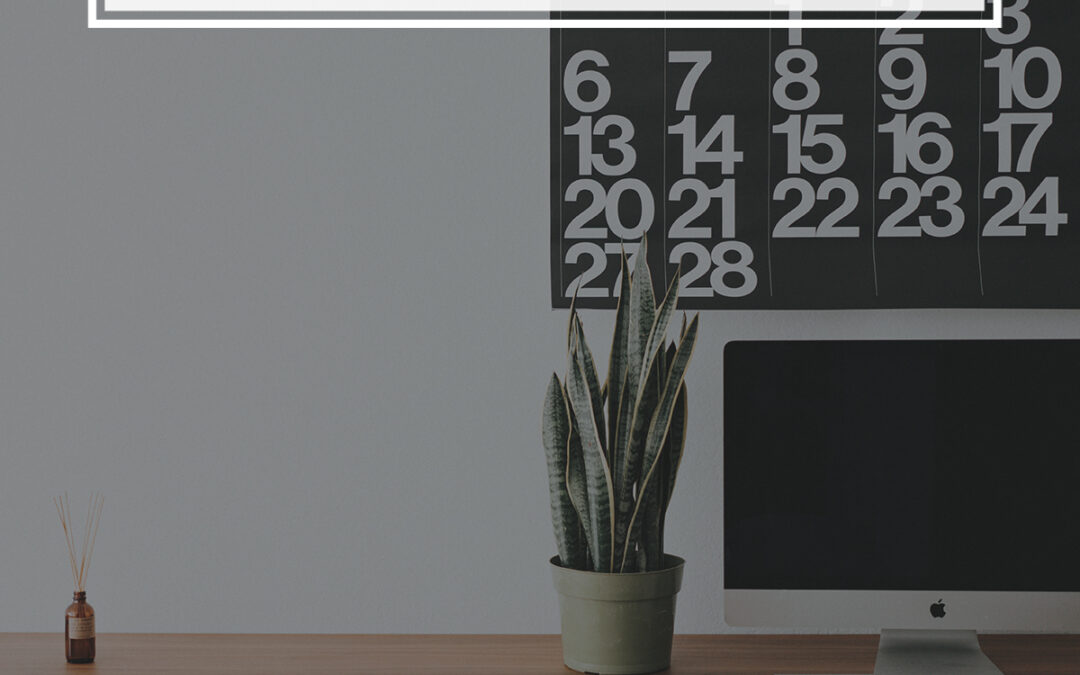 Top 10: Our Most Popular Content from 2017