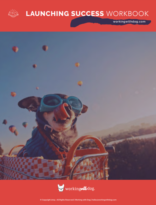 Launching Success Workbook
