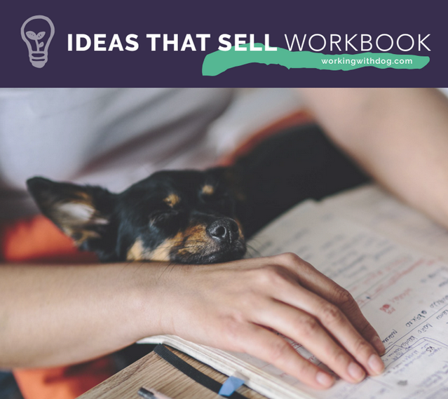 Ideas That Sell Workbook