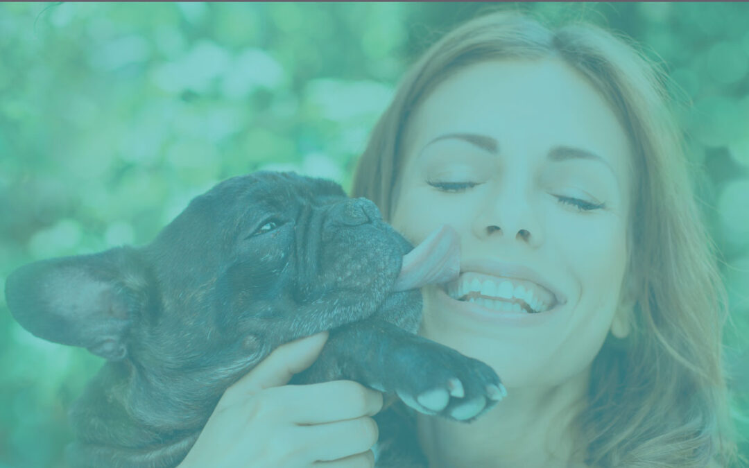 Who is my Ideal Client for my Pet Business?