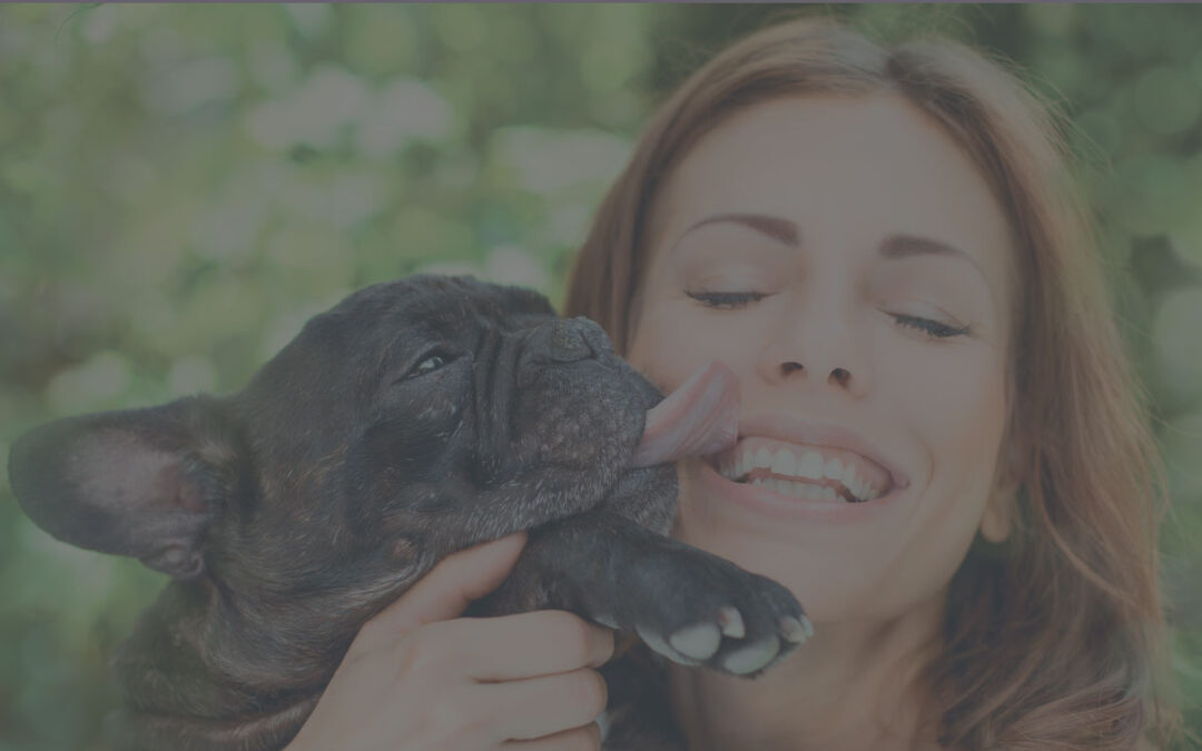 How to Use the Top 5 Social Networks to Get More Clients for Your Pet Business