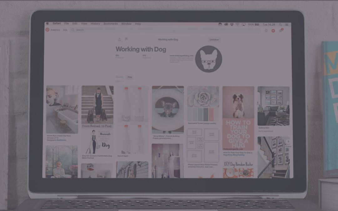 Pinterest Basics for Petpreneurs