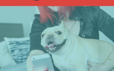 10 Paths to Building Authority in Your Niche