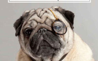 April Fool’s for Petpreneurs
