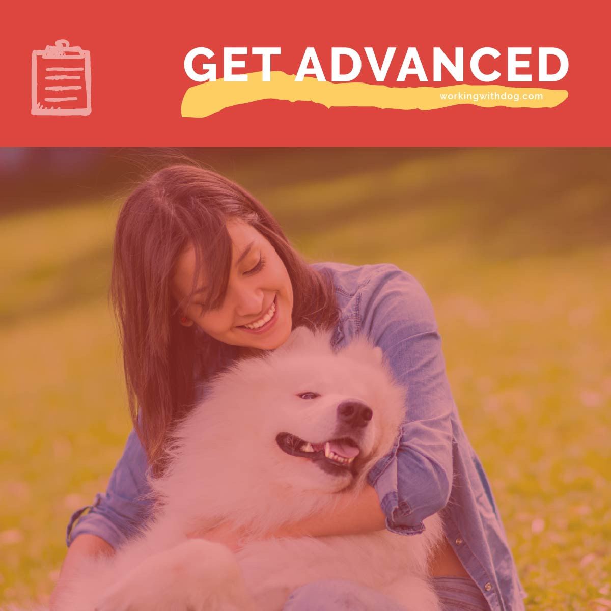 Get Data About Your Ideal Clients