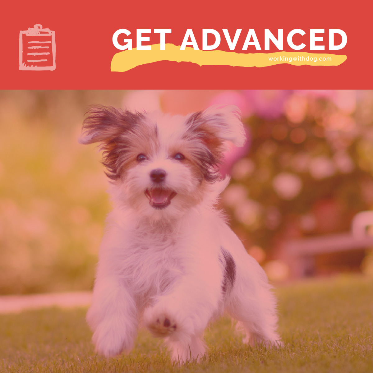 Bundling 101: Promotions Customers Love