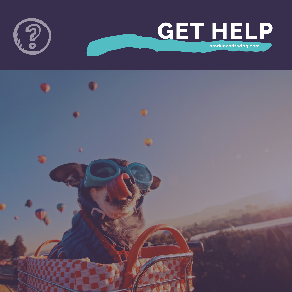 July 2019 Live Q&A and Helpful Resources