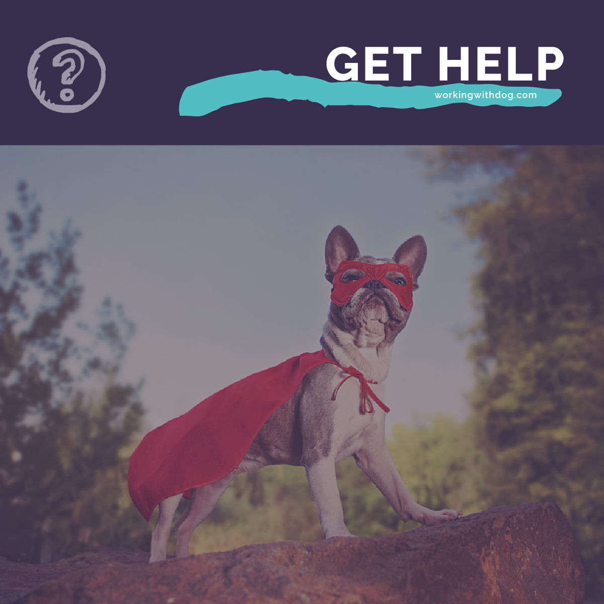 August 2019 Live Q&A and Helpful Resources