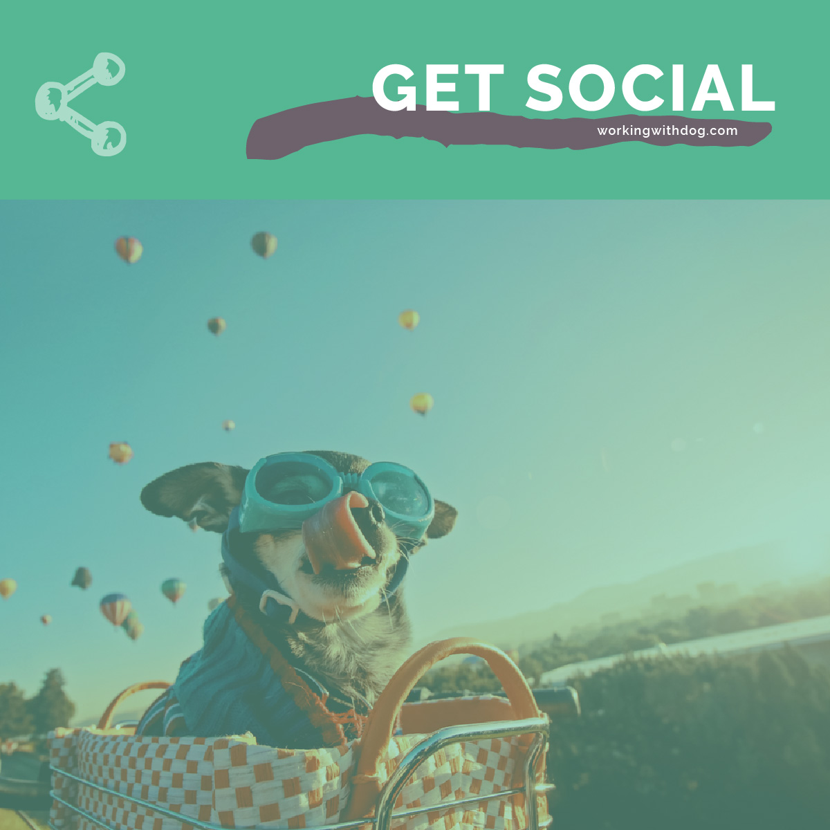 Steal This: July Social Media Templates