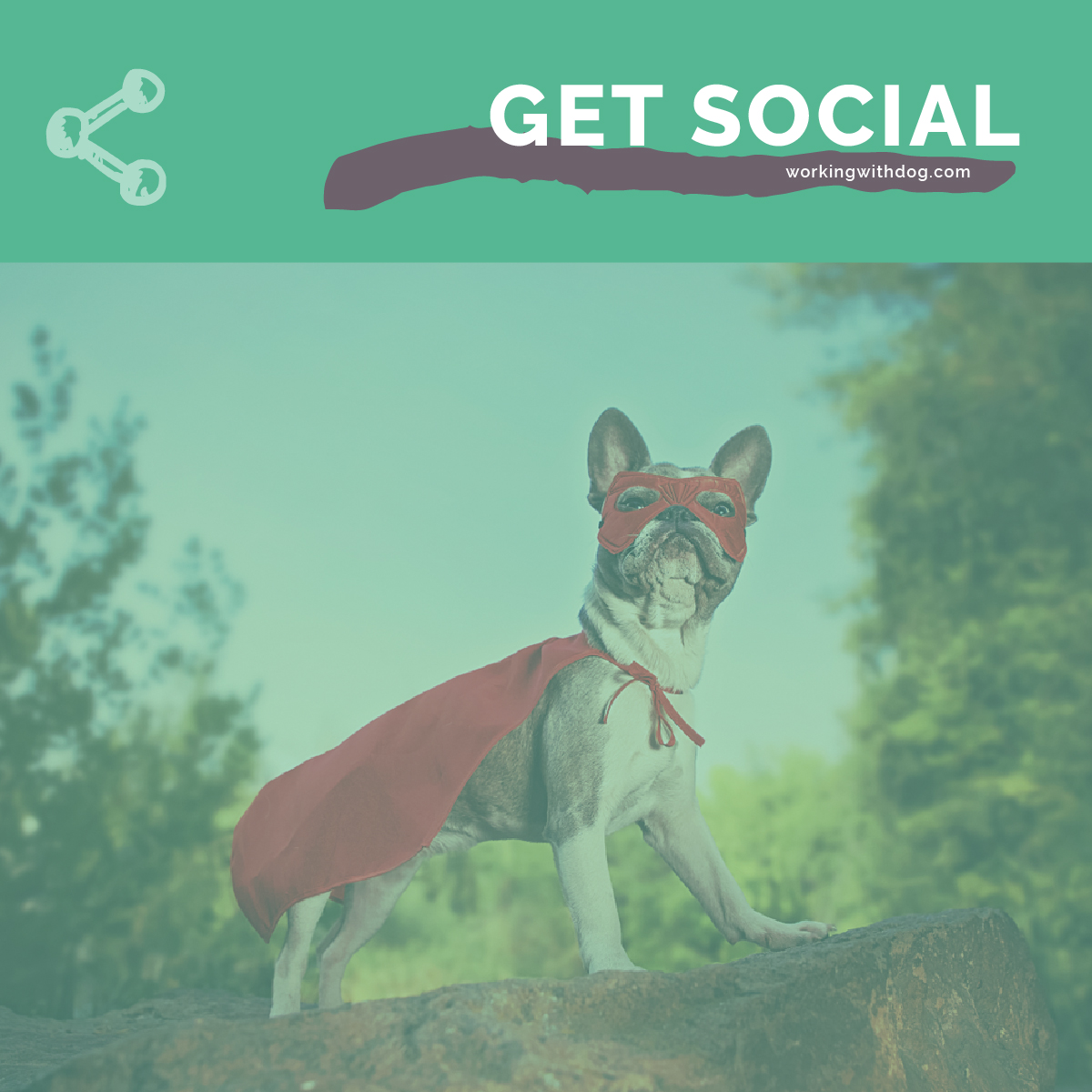 Steal This: August Social Media Templates