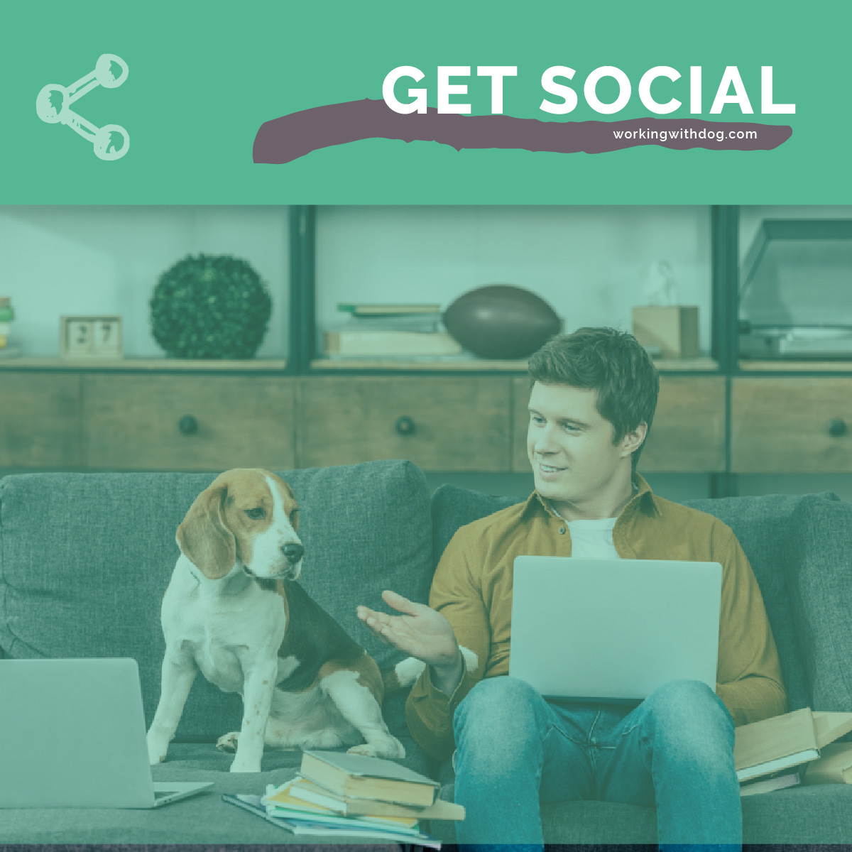 Steal This: December Social Media Templates