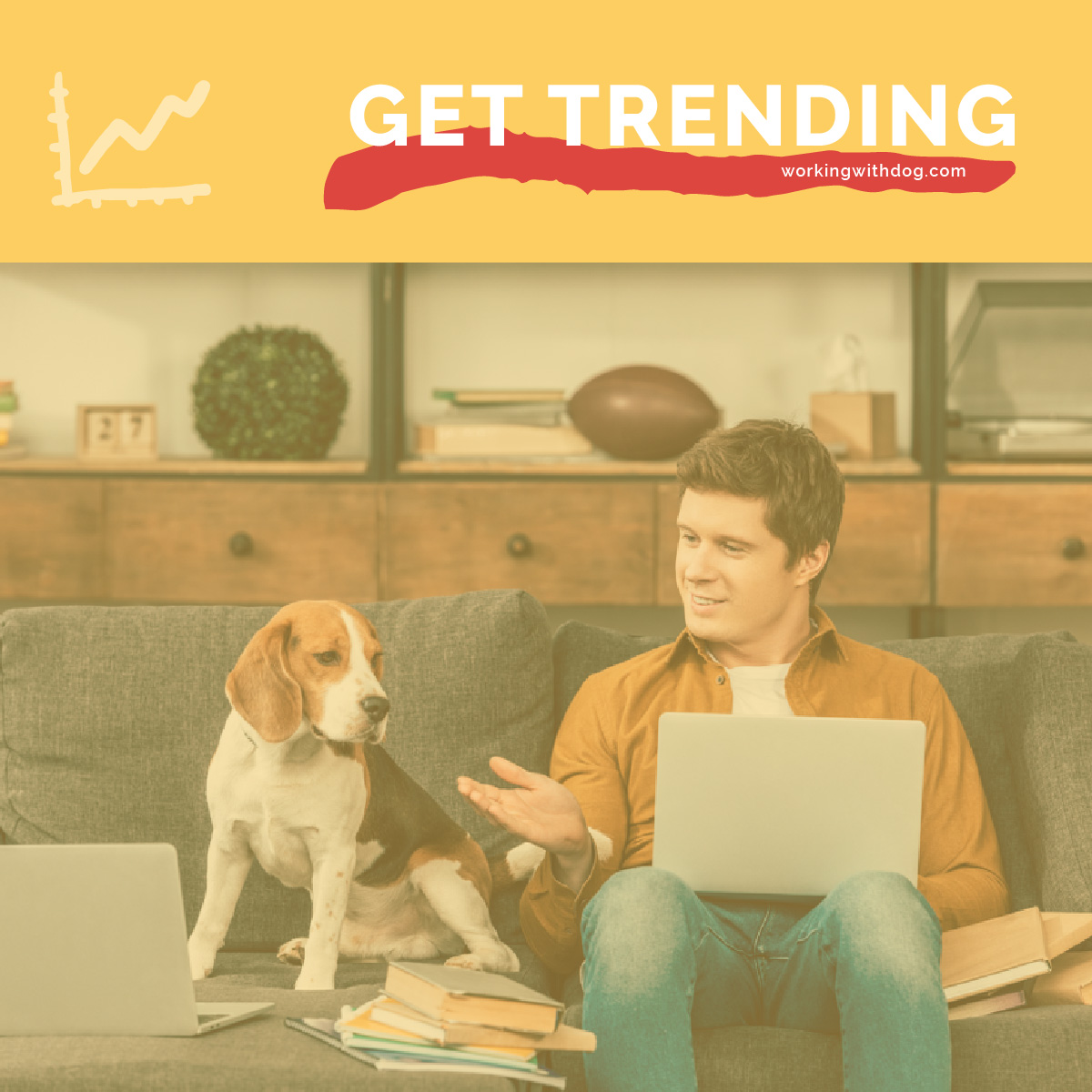December 2019 Pet Trends & Upcoming Topics