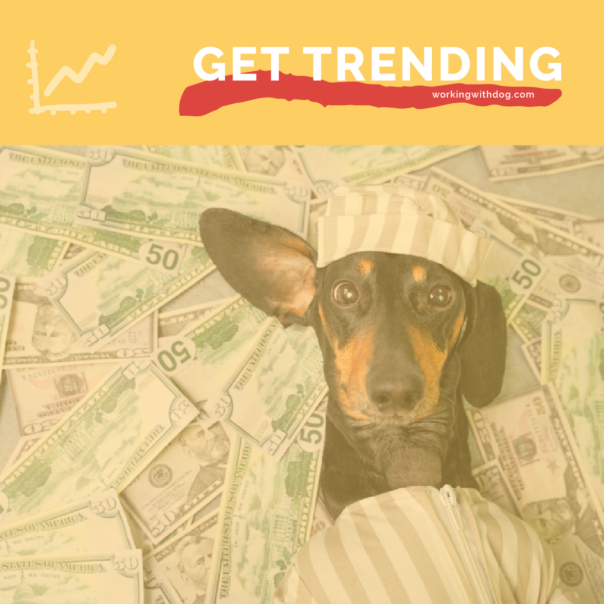June 2019 Pet Trends & Upcoming Topics