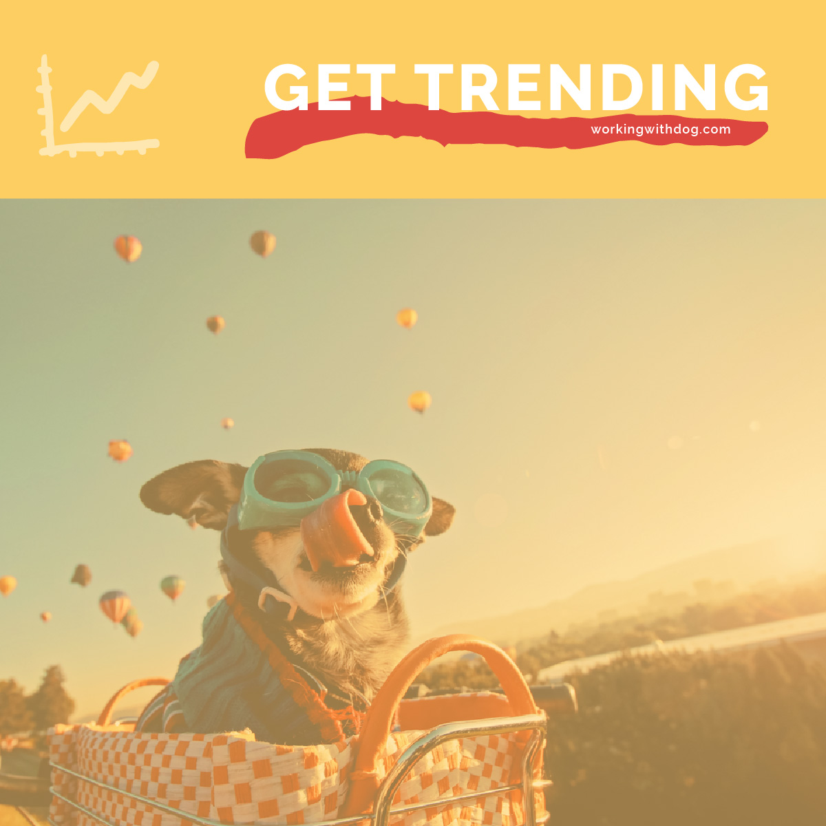 July 2019 Pet Trends & Upcoming Topics