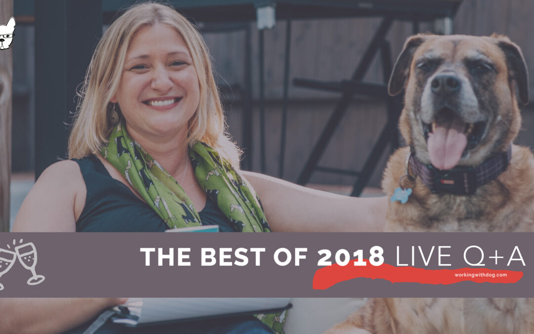 December Q+A with Jane