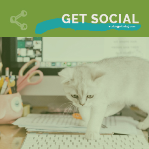 Steal This: July 2021 Social Media Templates