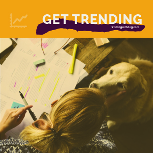 January 2021 Pet Trends & Upcoming Topics
