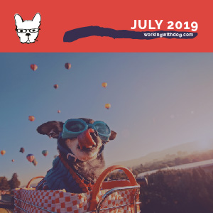 July 2019: The Art of Launching