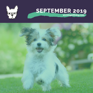 September 2019: Getting To Yes