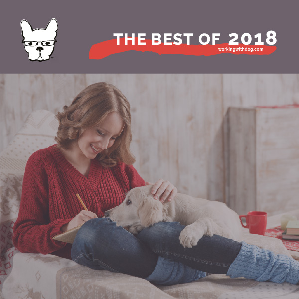 The Best of 2018