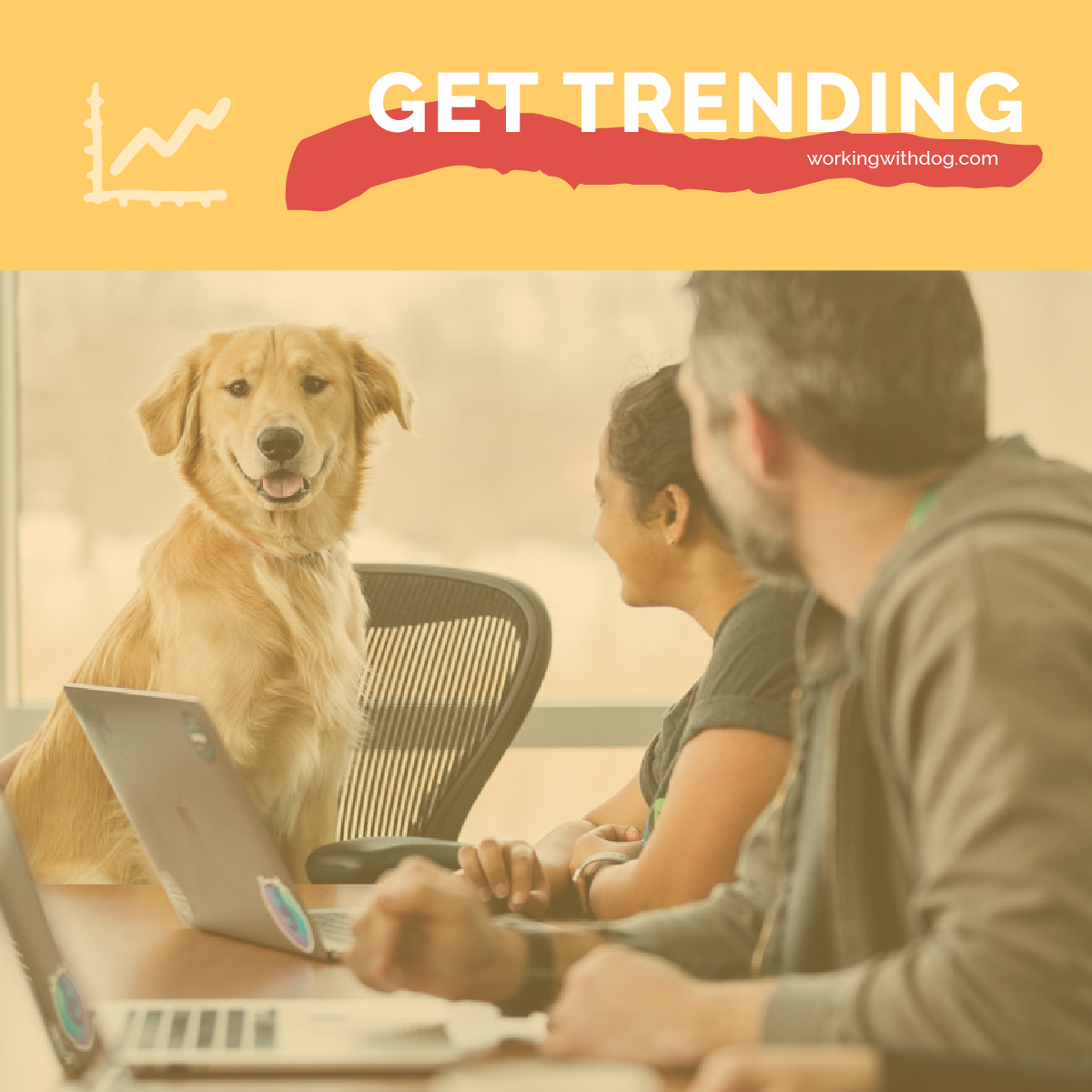 July 2020 Pet Trends & Upcoming Topics