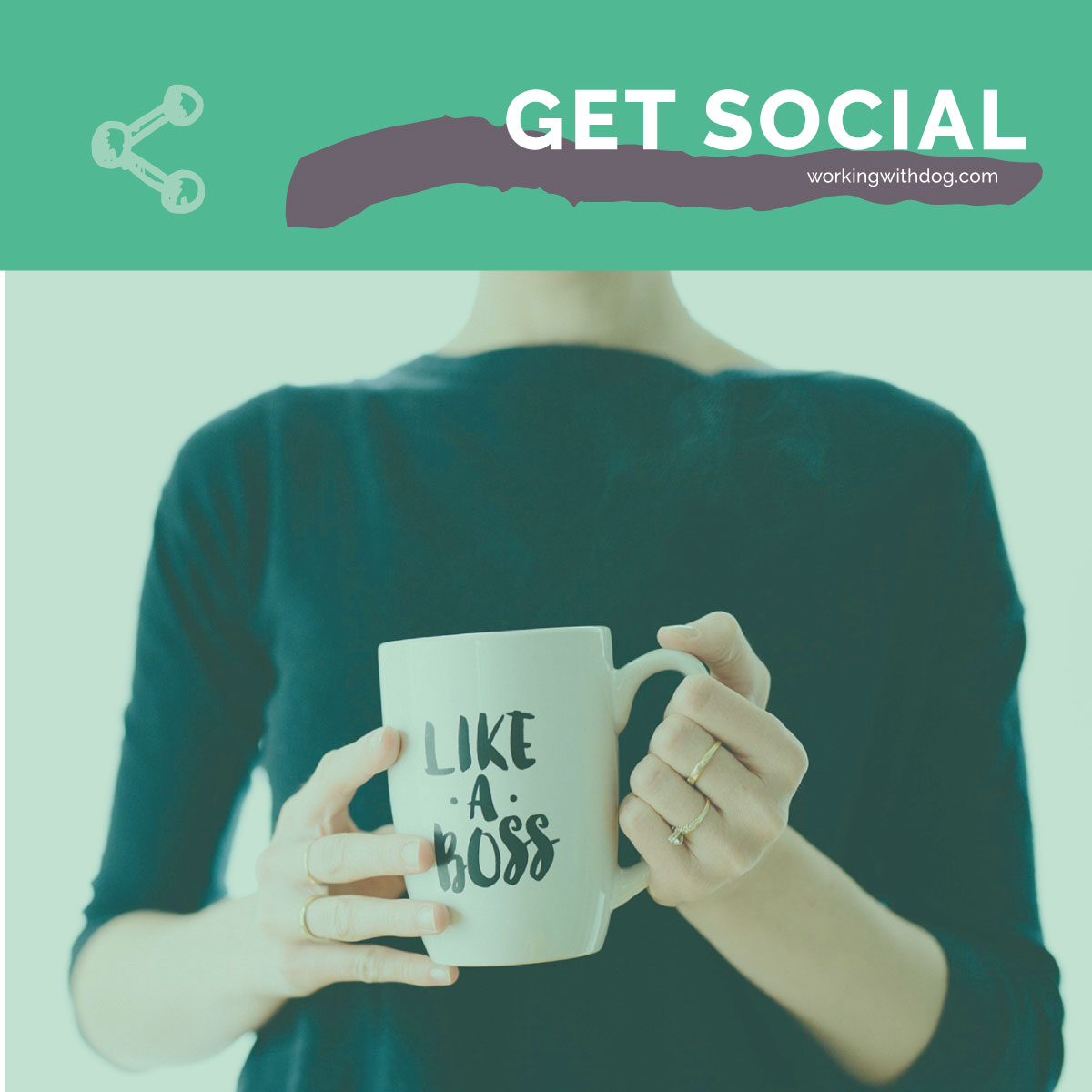 Steal This: January Social Media Templates