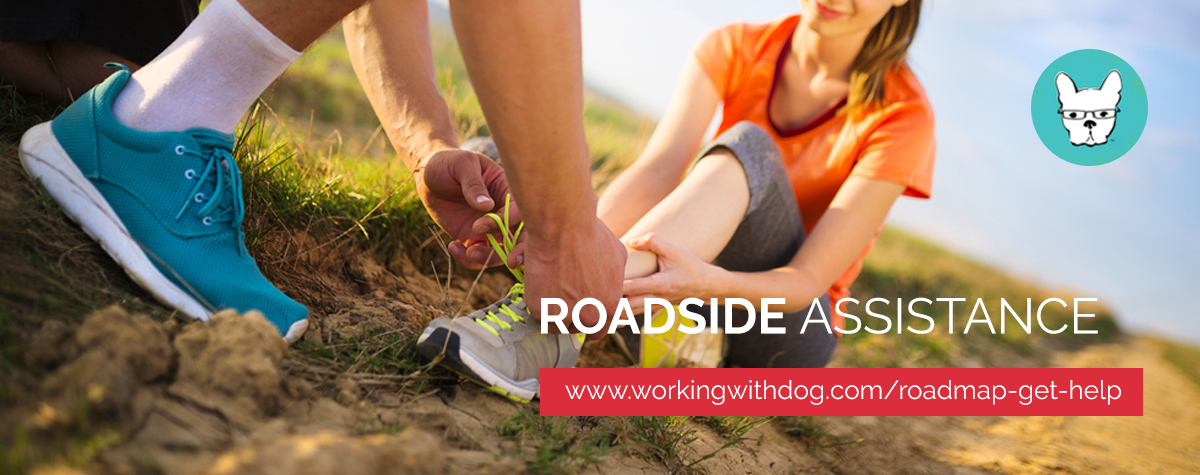 Freedom Roadmap Roadside Assistance