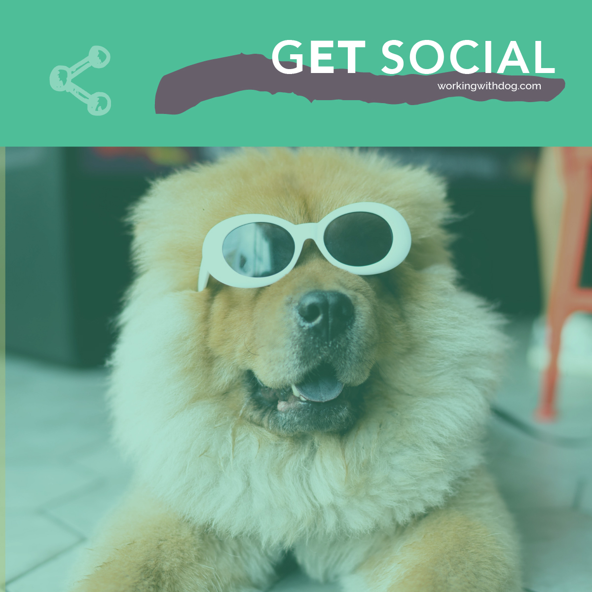 Steal This: May Social Media Templates