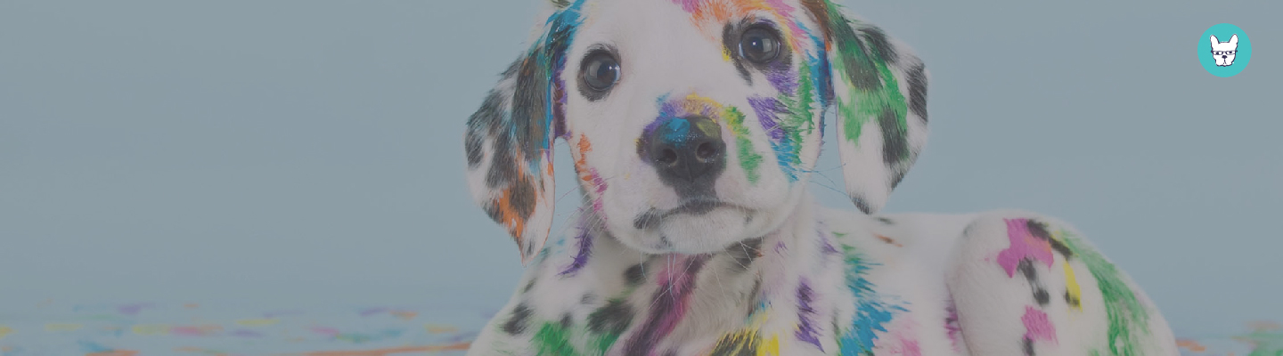 Branding: How Do I Know If My Brand Needs a Refresh?