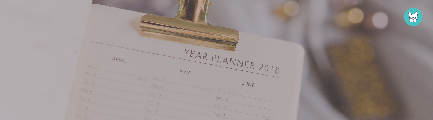 Productivity: Mid-Year Analytics & Goal Checkup