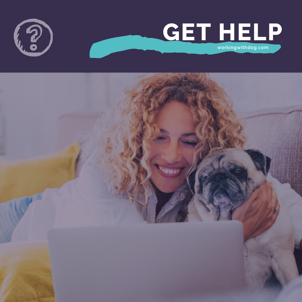 November 2019 Live Q&A and Helpful Resources