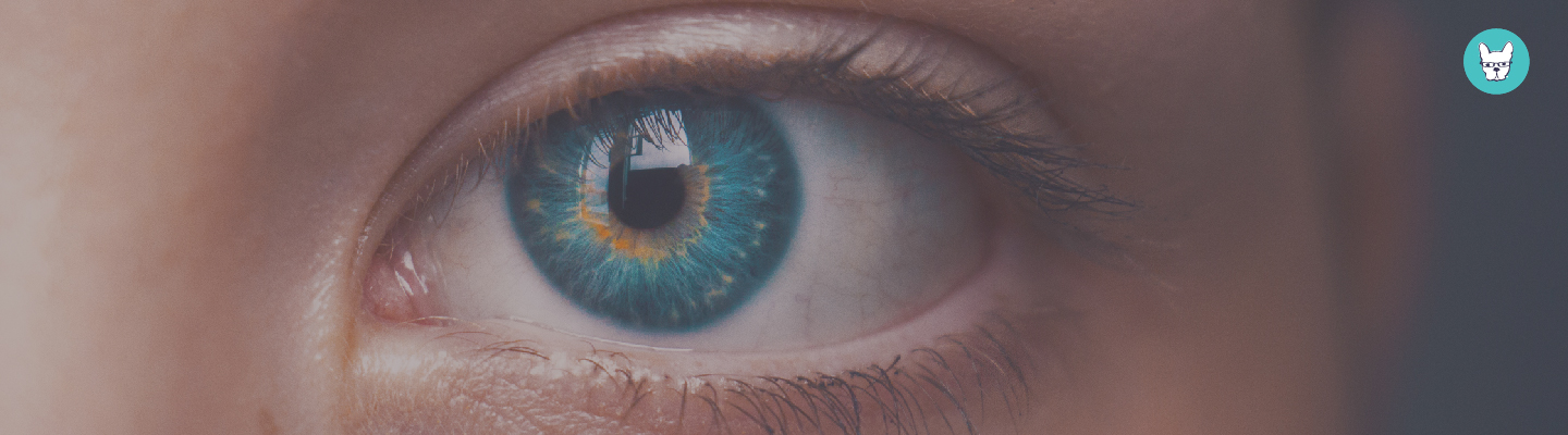 Productivity: Managing Your Mindset