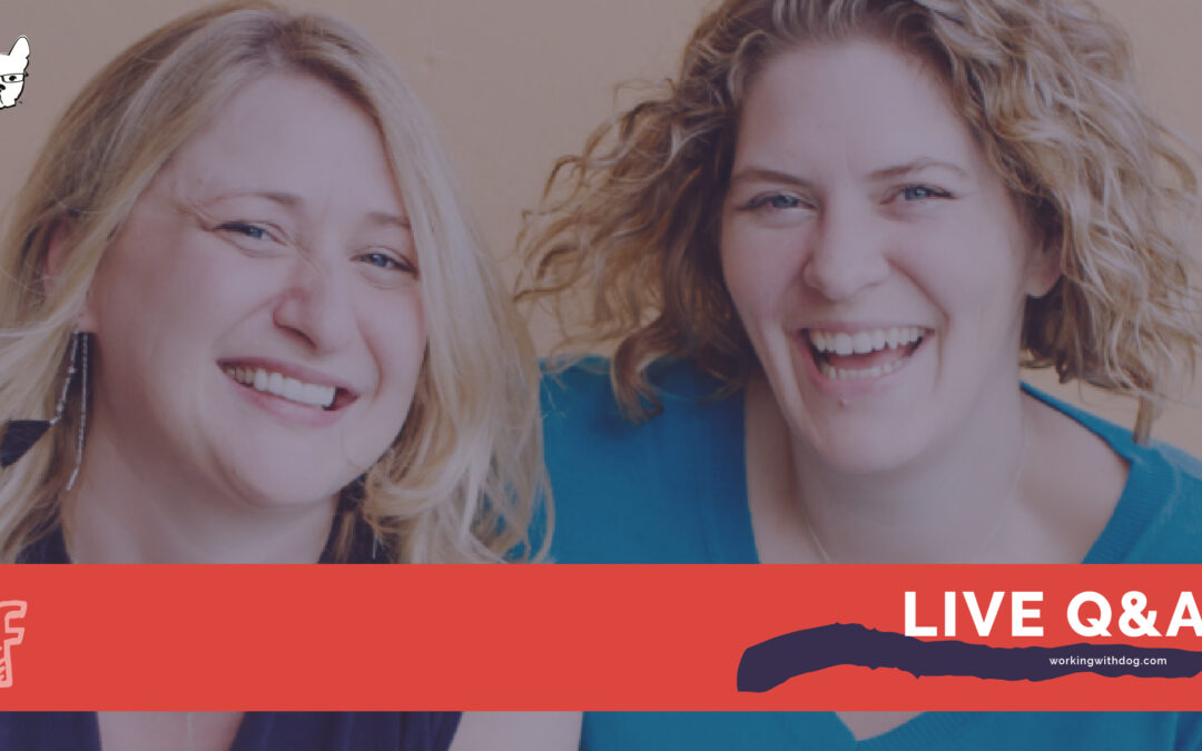 March 2019 Live Q&A and Helpful Resources