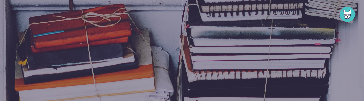 Building Authority: Basic Steps To Self Publishing On Amazon