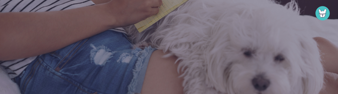 Building Authority: The 7 Key Decisions You Need To Make Before You Sit Down To Write A Book