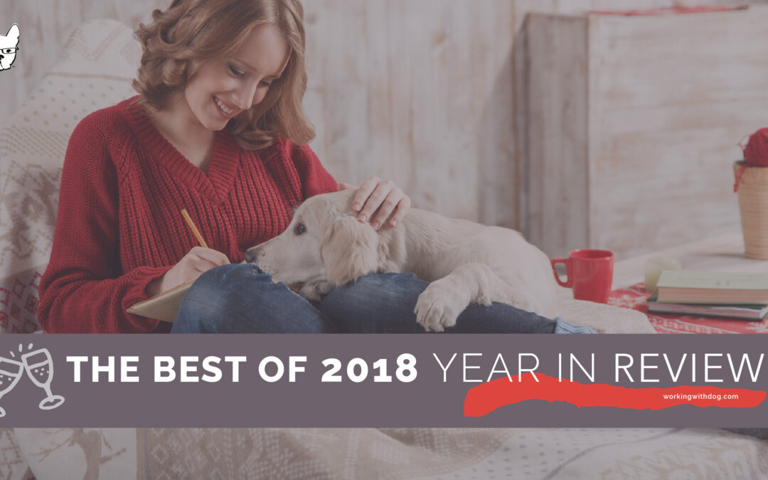 2018: Your Year In Review
